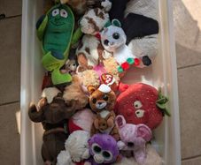 lots of teddies