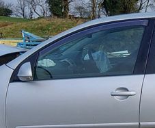 Front Left Passenger Door Mk5 Golf