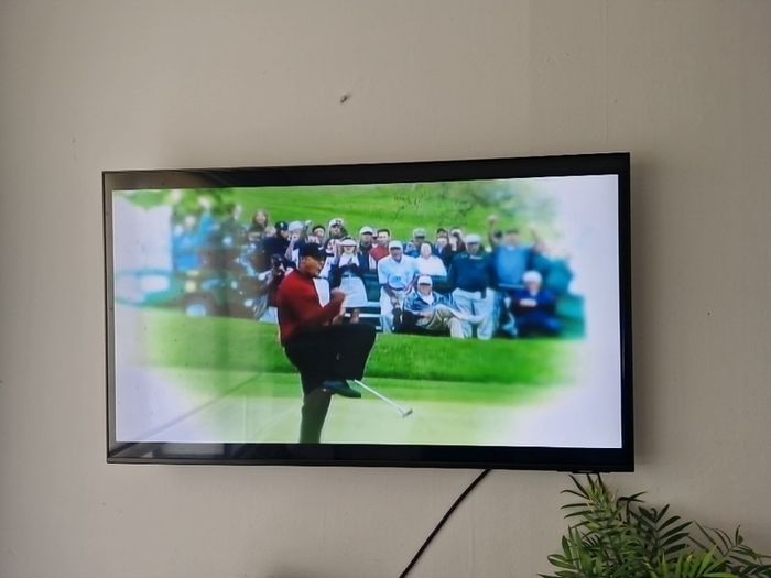 Nintendo Wii Tiger Woods PGA 10 game