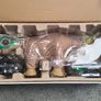Pleo RB Image 5