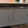 Reptile Vivarium/Tank Image 8
