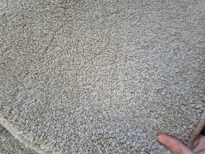 rug