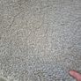 rug Image 3