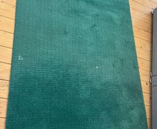 Free green rug