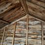 free shed Image 5