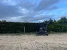 hedge cutting Image 7