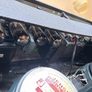 Fender 65' Twin Reverb + Thon Hardcase Image 5