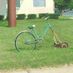 cyclingwhale