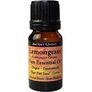 Essential Oils Image 2
