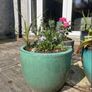 Large/Medium Glazed Earthenware Egg Flower Pot- 2 available Image 3