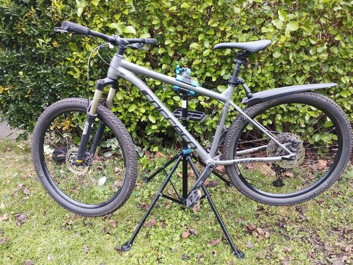 Carrera Sulcata 3