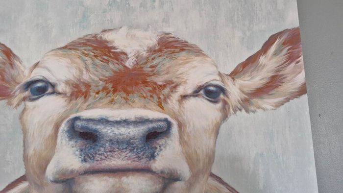 Cow Canvas Picture