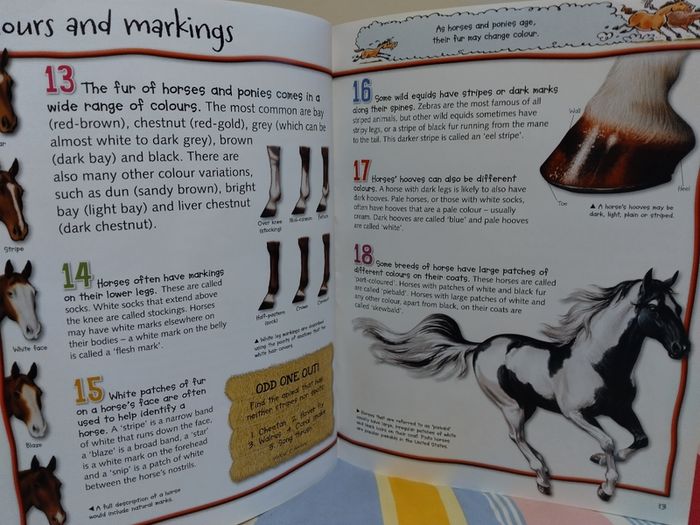 100 Facts Books By Miles Kelly