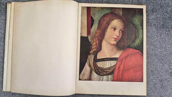 Raphael  Book - text by Mary Pittaluga