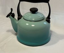 Le Creuset 2.1L Kettle in Cool Mint