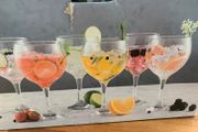 6 Balloon Gin Glasses