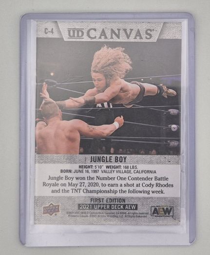 AEW Upper Deck 2021 UD CANVAS Wrestking Trading Card Bundle