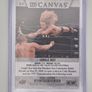 AEW Upper Deck 2021 UD CANVAS Wrestking Trading Card Bundle Image 9