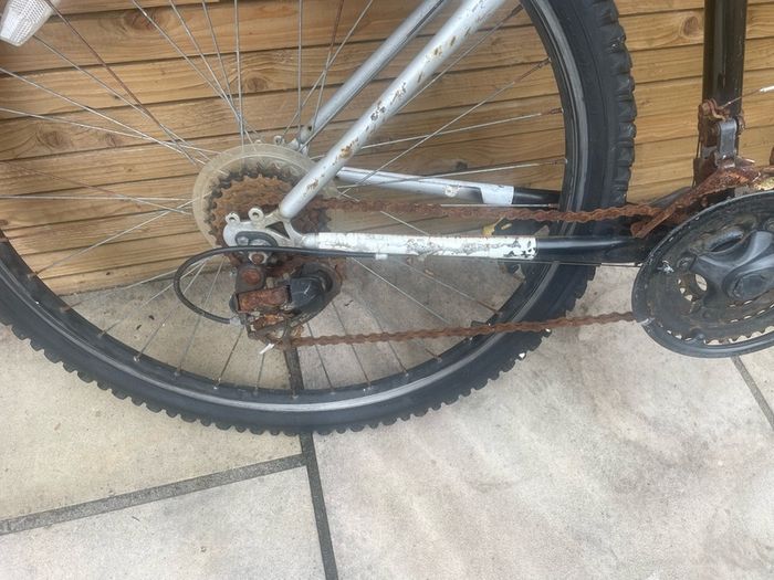 mountain bike read ad