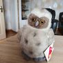 Vintage Dakin Otto Owl Plush Toy 1989 Image 3
