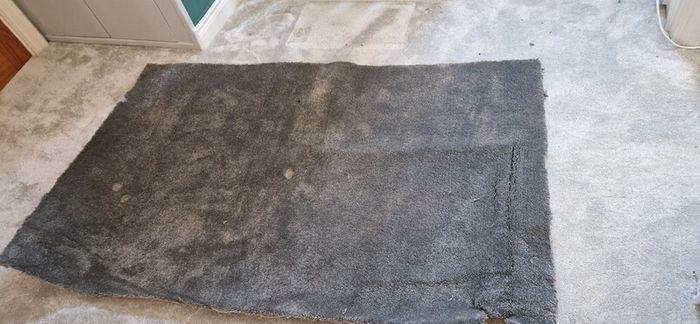carpet remnant