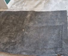 carpet remnant