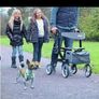 Mobility Walker Image 2
