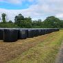 Silage bales Image 2