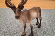 Schleich Reindeer