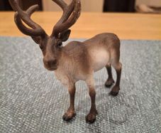 Schleich Reindeer
