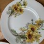 6 Bone China Side Plates & Bread Plate Image 3