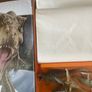 My Busy Books Jurassic World activity set Image 2