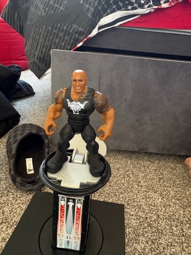 WWE Microphone