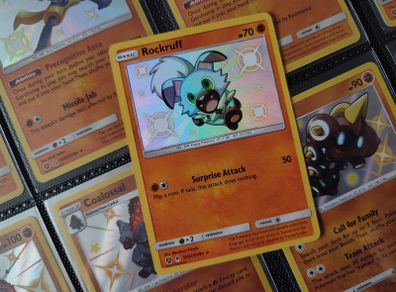 Rockruff ! Secret Rare ! from Secret Vault ! Hidden Fates Set ! 2019 ! Pokemon Card !