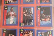 WWF 1991 Classic Trading Cards