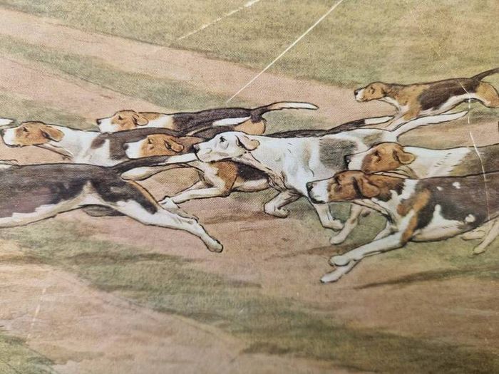 Cecil Aldin, signed Print.