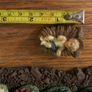 Nativity Crib Set Image 8