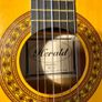 Small Guitar Image 2