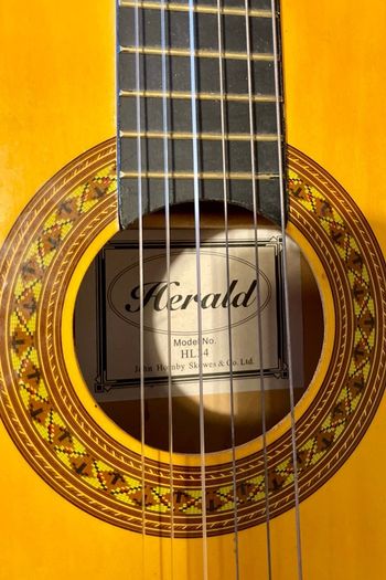 Small Guitar