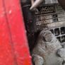 diesel acme motori powerwasher Image 3
