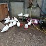 Call ducks, bantom chicks and roosters for sale Image 4