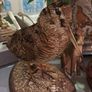 Taxidermy Woodcock Perfect Vintage Image 5