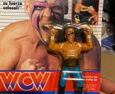 wcw wwe wwf Hasbro galoob