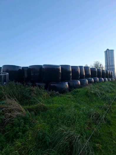 200 bales of silage