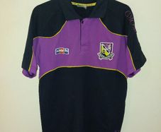 wexford gaa polo