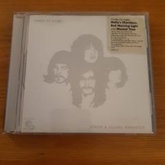 Kings of Leon - Youth & Young Manhood album
