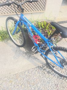 Boys bike