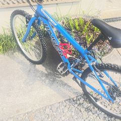 Boys bike