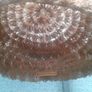 Vintage Hats From 20euro Image 8