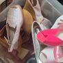 Box of ladies shoes Image 2